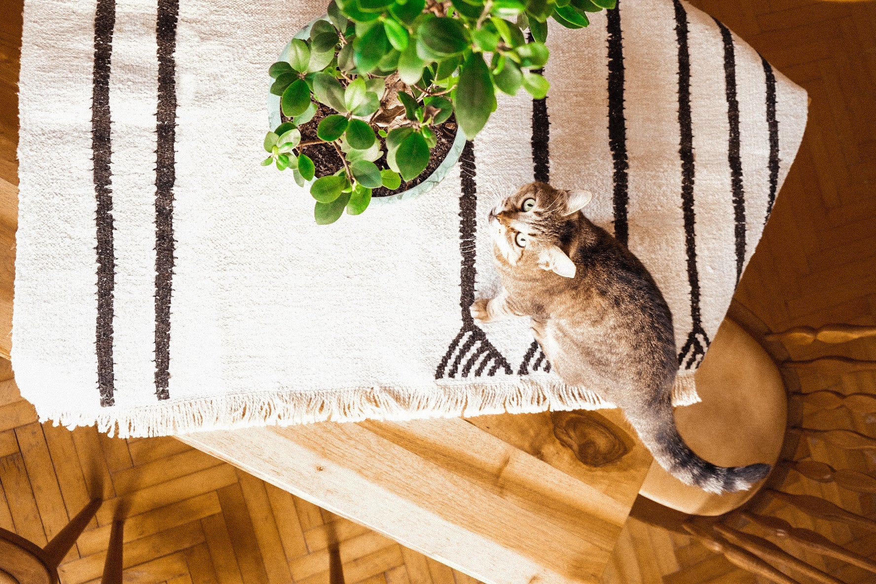 KENDIR El Dokuma Upcycle Hemp Kilim - CachéIstanbul